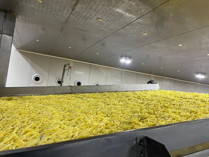 Frozen french fries being made at a potato processing factory in Mehsana