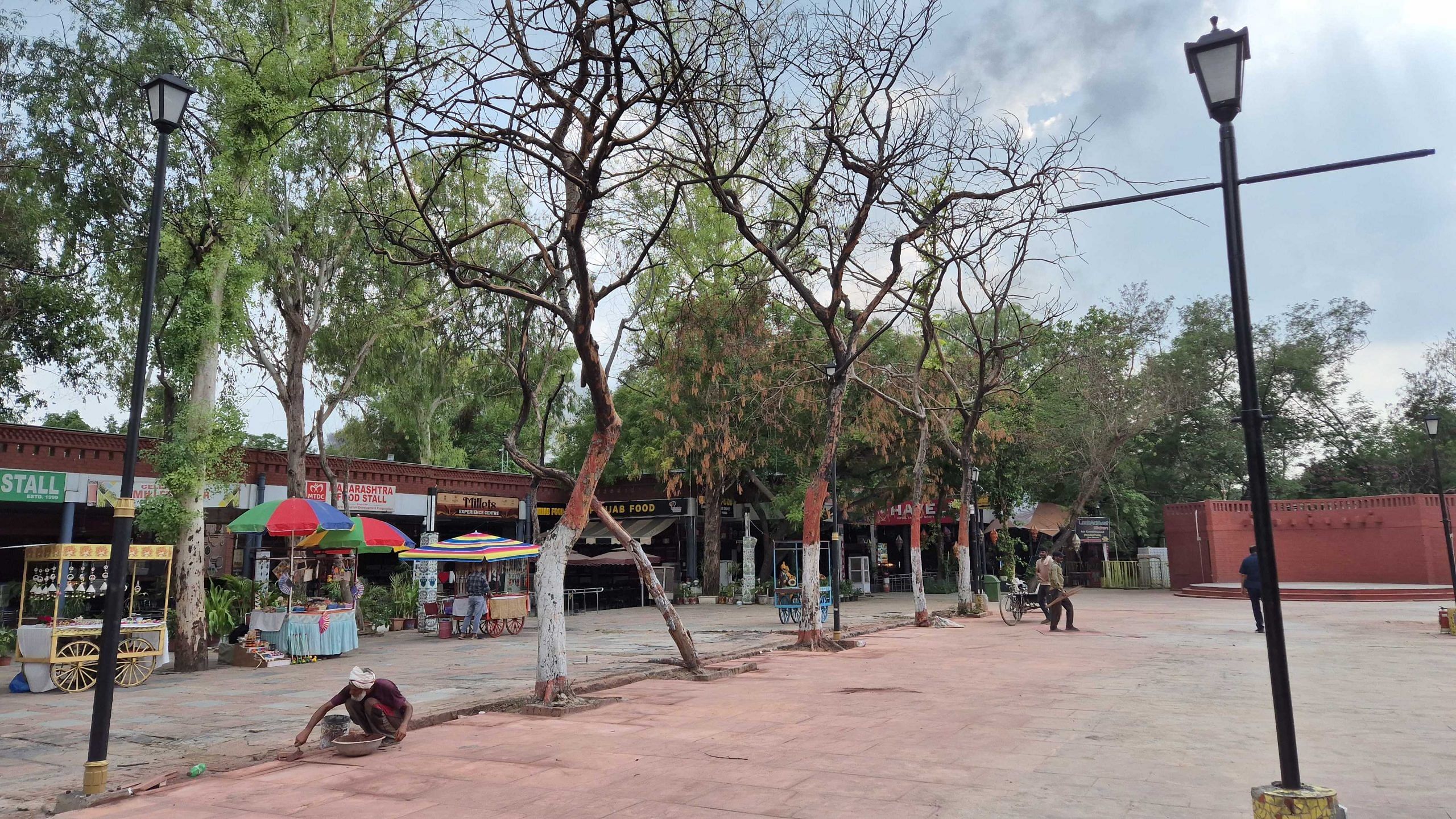 Trees that were charred in the fire