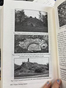 Ajmal shows shows pictures of the Baramulla archaeological site, part of his paper in 'Vitasta: Uniting Cultures' | Photo: Anisha Nehra, ThePrint