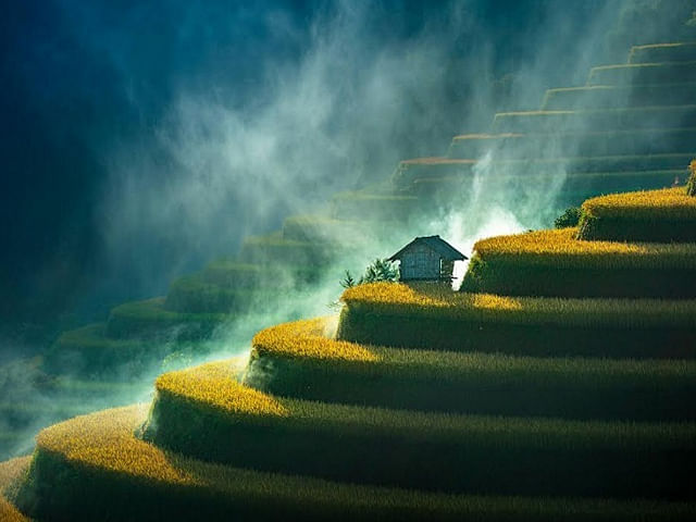 Greenstorm Unveils Winning Images Celebrating Beautiful Wetlands