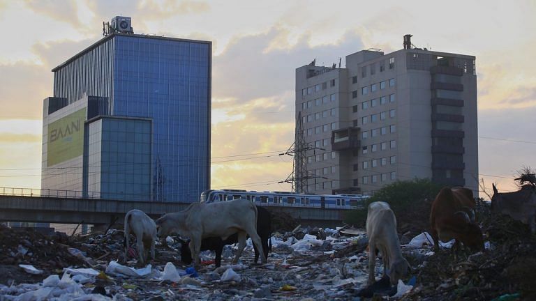 Gurugram or Kudagram? Elites are furious over the garbage emergency
