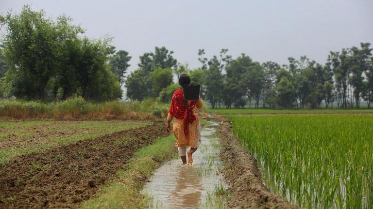 Dalit women reclaiming Punjab’s farmlands. ‘We are born on this land, have a right to it’
