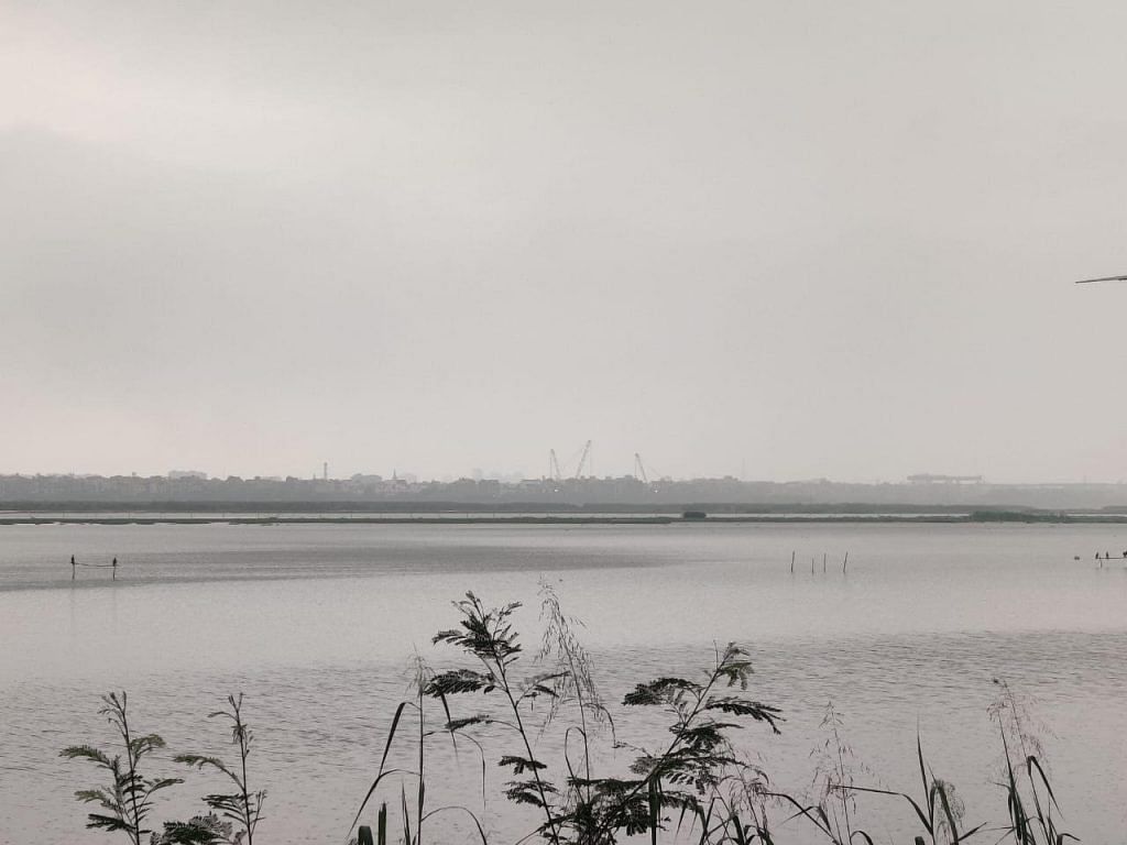 Okhla Bird Sanctuary