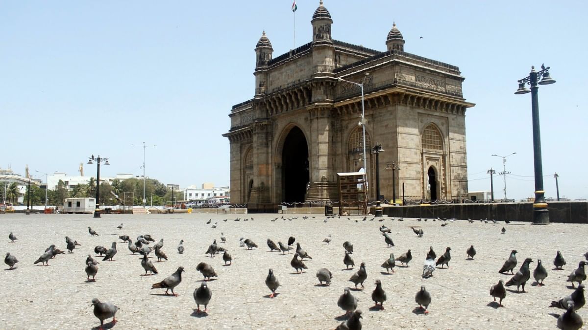 File photo of pigeons at Gateway of India in Mumbai | ANI