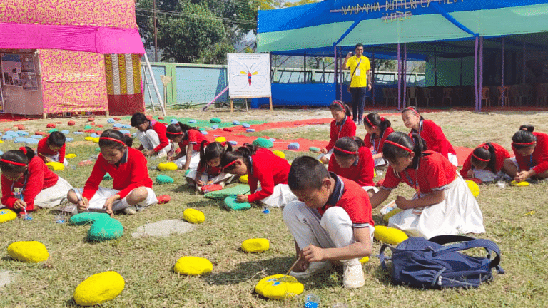 Mizoram, Tripura, Nagaland districts top performers in North-East SDG Index, but challenges remain