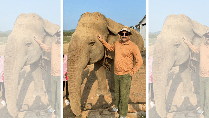 File photo of elephant, Vatsala | Credit: Susanta Panda, retired IFS officer