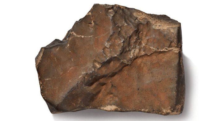 NWA 16788 was discovered on 16 November 2023 by a meteorite hunter in Niger’s remote Agadez Region | Credit: Sotheby's
