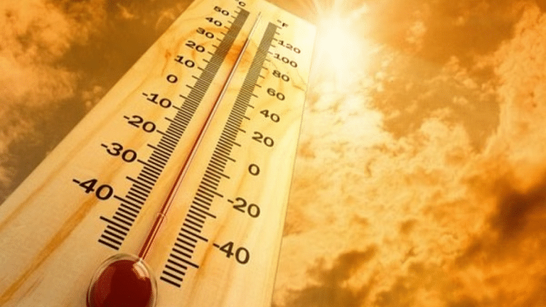 Urban India is warming faster, 3.2% of city GDP could be at risk by 2050—World Bank