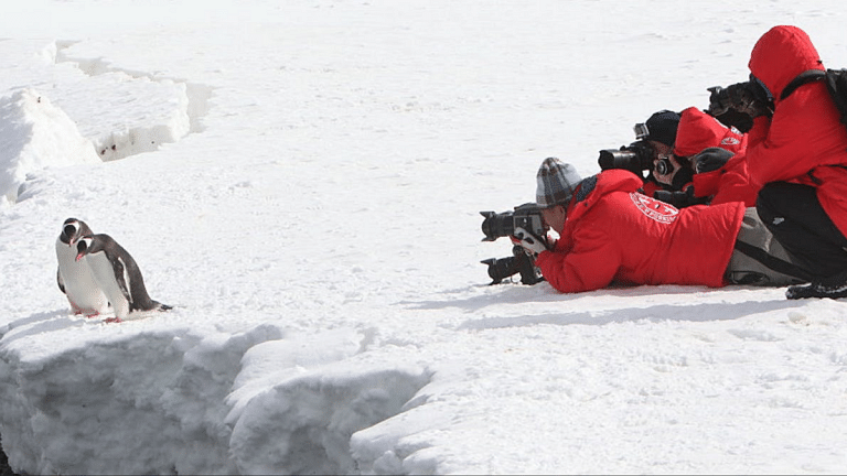 Antarctica is the new tourist hotspot. Stop it from being loved to death
