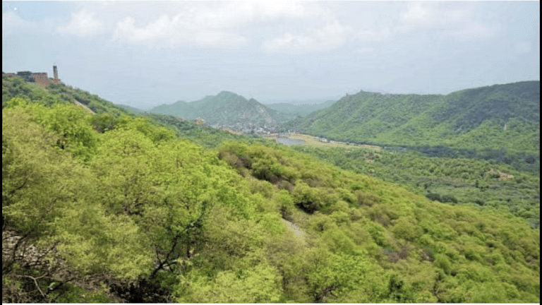 SubscriberWrites: CEC’s recipe of scalping Delhi’s ridge lands