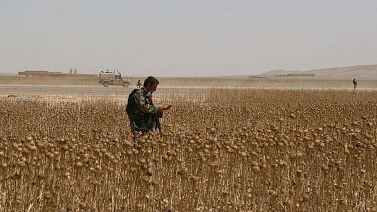 Afghanistan is starving—and its farmers are fighting to save the poppy