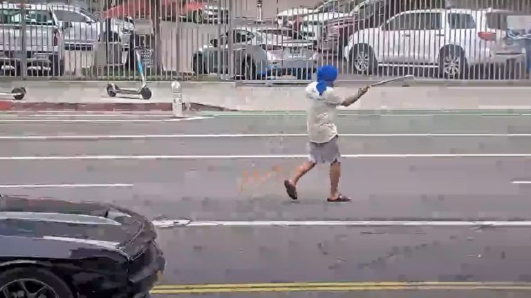 LAPD releases fresh footage of Indian-origin man waving machete, being fatally shot by cops
