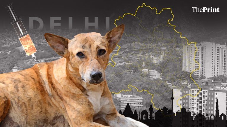 Dog bites & rabies deaths: What data reveals about complex crisis behind stray dogs debate