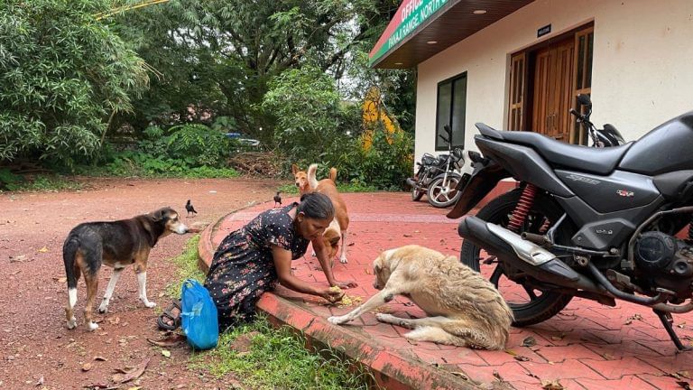 Maria Gomes feeds over 300 stray dogs. She challenges the popular image of a dog lover