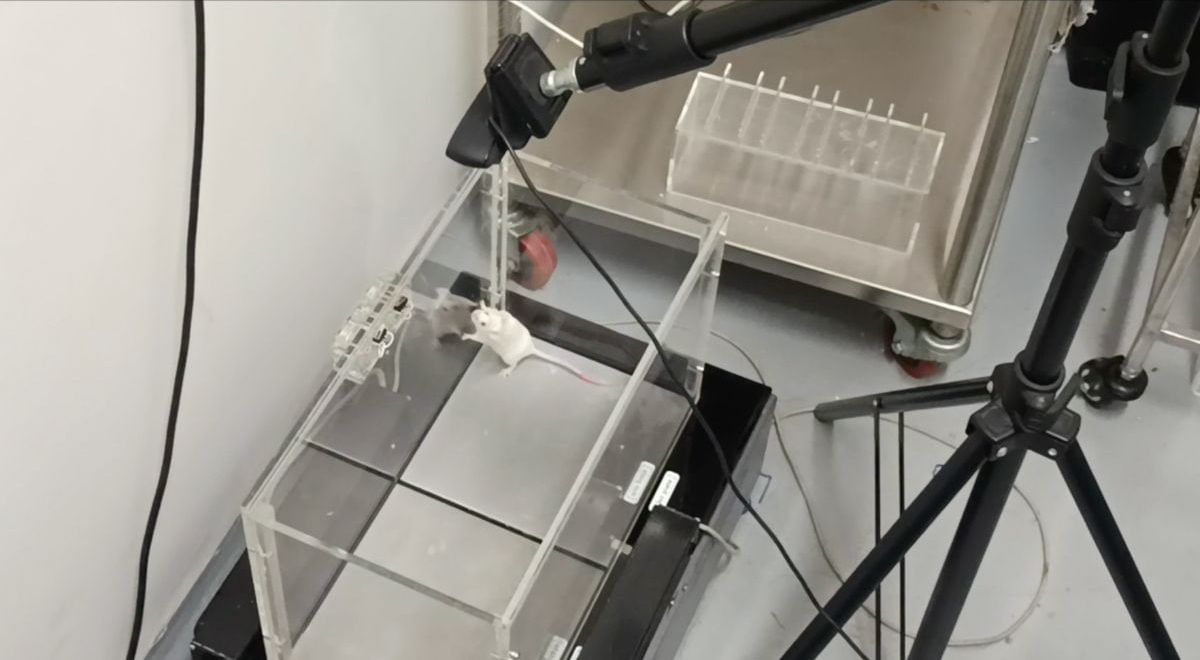 Experiment at Barik’s Lab at Indian Institute of Science (IISc), Bengaluru to understand how the animal respond to temperature variation | Photo: Ananthapathmanabhan | ThePrint