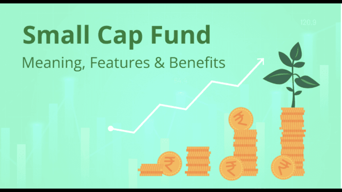 Small Cap Funds Explained: Should You Add One to Your Mutual Fund Mix