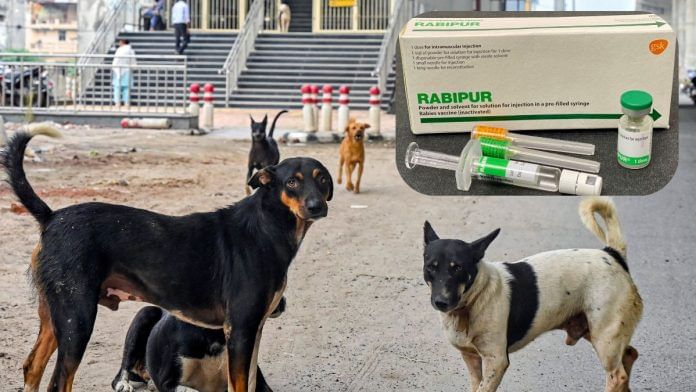 Representational images of stray dogs and rabies vaccine | ANI/Commons