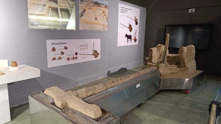 ASI isn’t publishing its excavation reports on time. Rakhigarhi to Ropar