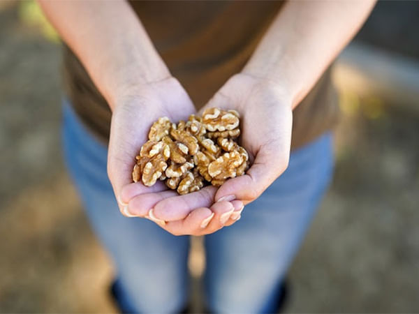 Young Adults Consuming Walnuts Reported Improved Sleep Quality, New Study Finds