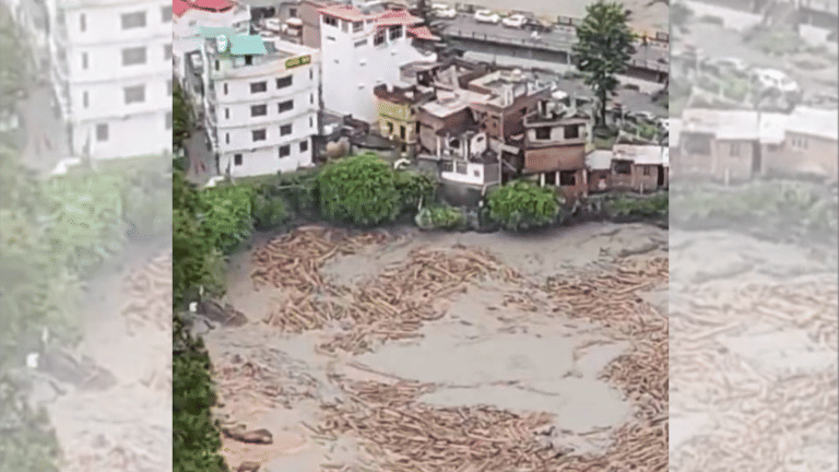No mafia, just driftwood—Chamba forest dept on ‘floating logs in Ravi’ clips that even reached CJI