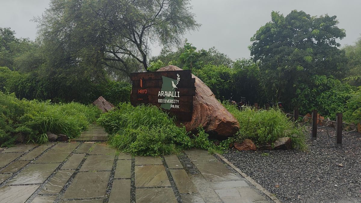 The entrance of Gurugram's Aravalli Biodiversity Park, which replicated Delhi's model in 2012. | Soumya Pillai | ThePrint