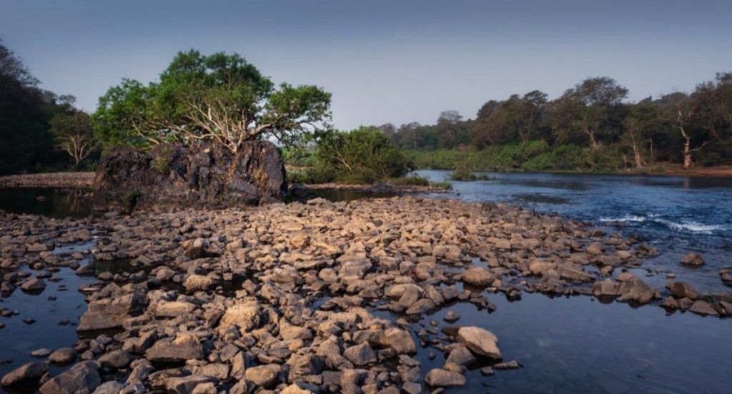 Mandovi river 