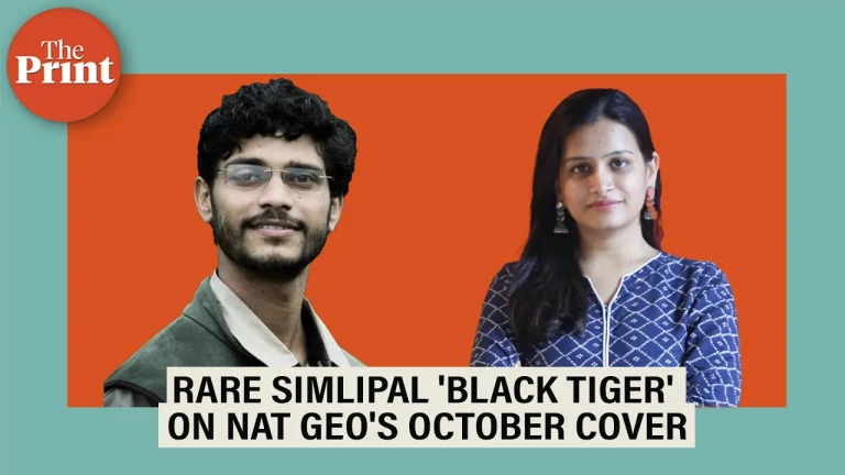 Rare ‘black tiger’ from Odisha’s Simlipal forests on Nat Geo cover—the tale of the perfect shot