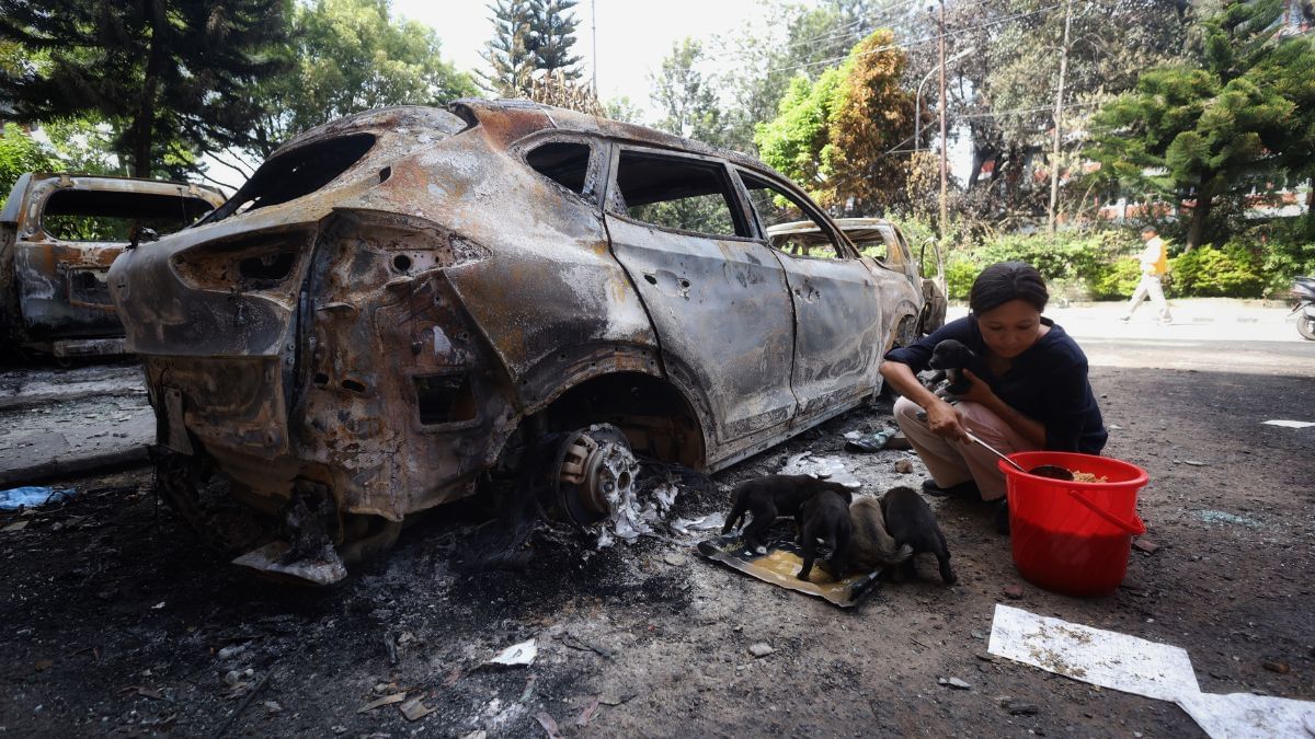  Hungry stray puppies devour food given to them by animal lover Sneha Shrestha, next to a vehicle charred in the violence, in Kathmandu | Manisha Mondal | ThePrint