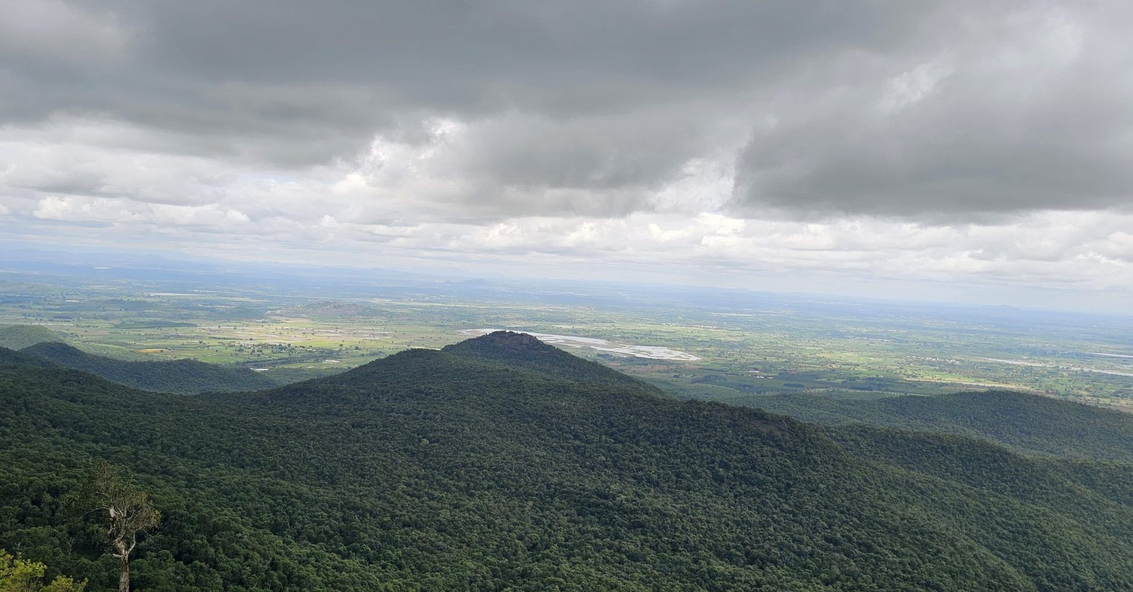 The BRT Tiger Reserve in Karnataka | Photo: Tejus RS | ThePrint