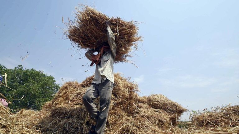 India bloc considers land reform push in Bihar manifesto, reviving report Nitish shelved in 2008