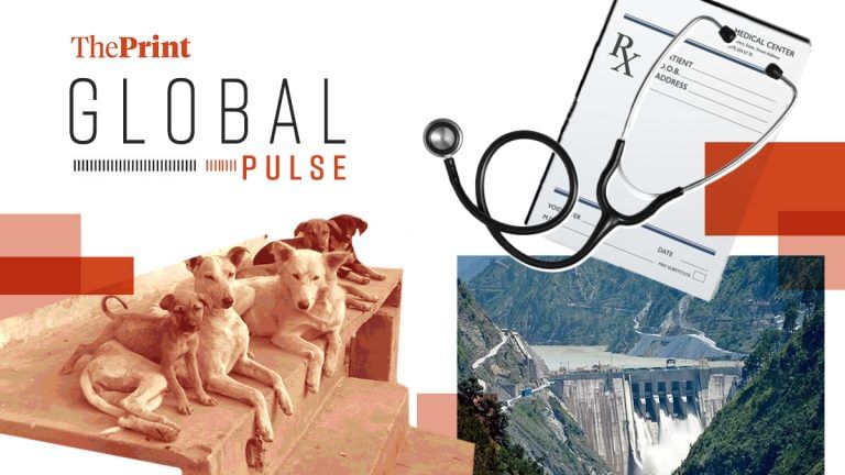 Global media analyses India’s ‘animal problems’ & the right to a legible doctor’s prescription