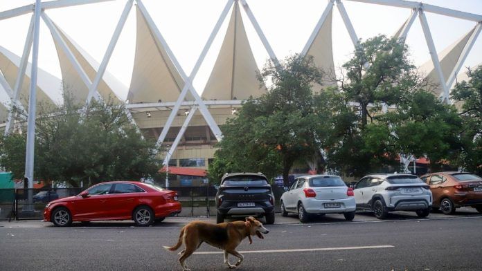 A stray dog outside Jawaharlal Nehru Stadium, the venue of the World Para Athletics Championship games, in New Delhi, where two foreign coaches were bitten on Friday | ANI