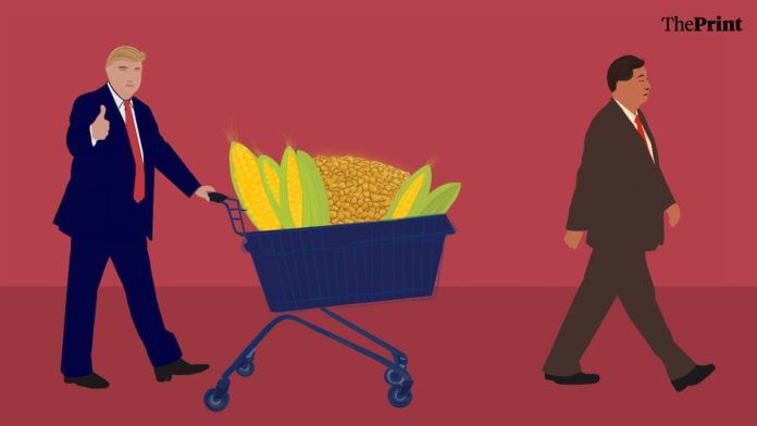 Ni oct 31 Illustration by Shruti Naithani/ThePrint