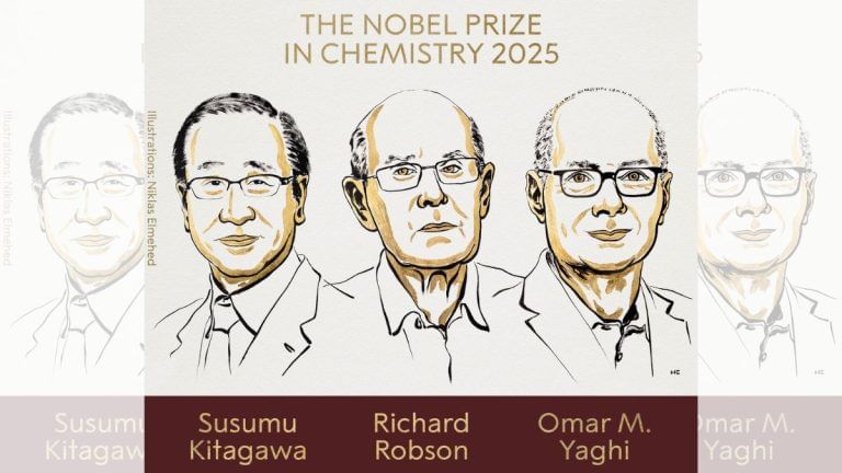 How did this year’s Chemistry Nobel winners redefine ‘solid matter’? Think ‘Hermione’s handbag’