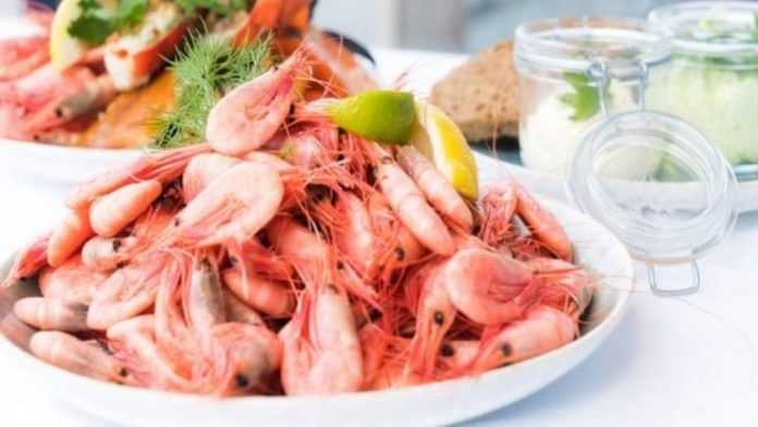 With a long coastline and conducive climate, Andhra Pradesh is the leading producer of shrimps in India | Representative image | Pexels