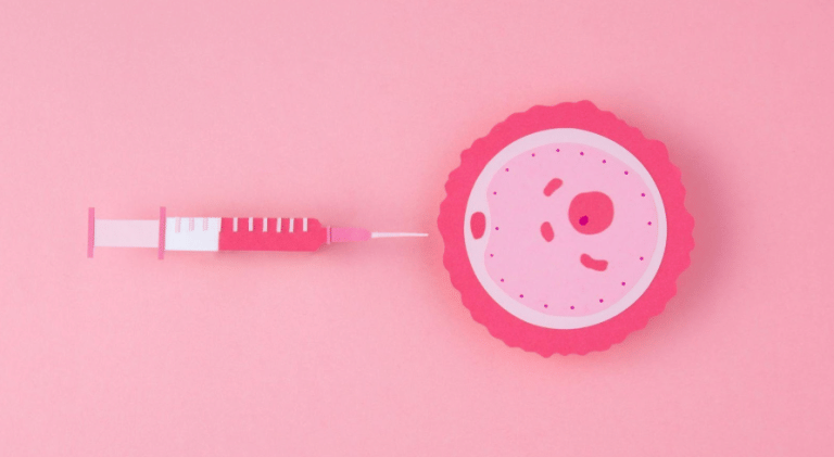 What is the ICSI process?