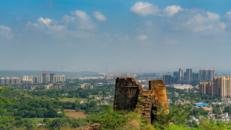Gurugram elite are giving up corporate life to become urban farmers. Money isn’t the motivation, peace is