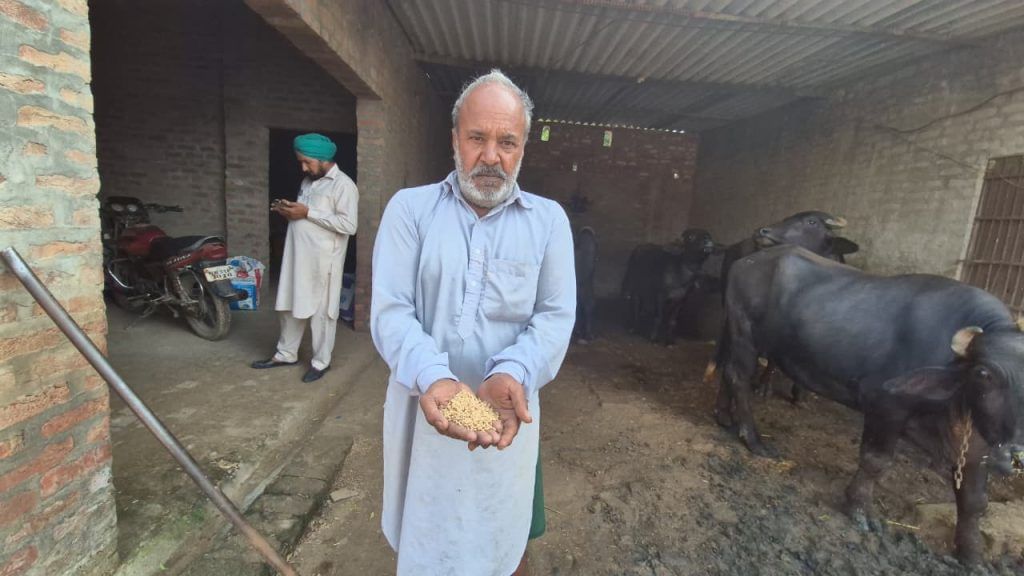 Punjab farmers debt 