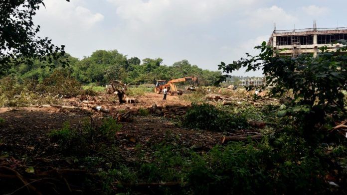 Only 50% of the trees planted in compensation for the trees cut in the Aarey forest area for the construction of the shed have survived | ANI