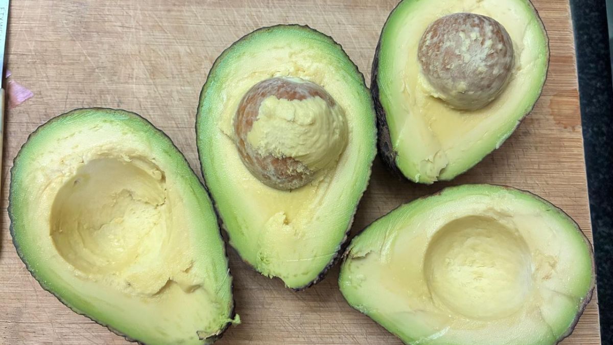 The trial harvest from Mahantesh B Patil’s farm. They use this batch for quality testing | Triya Gulati | ThePrint