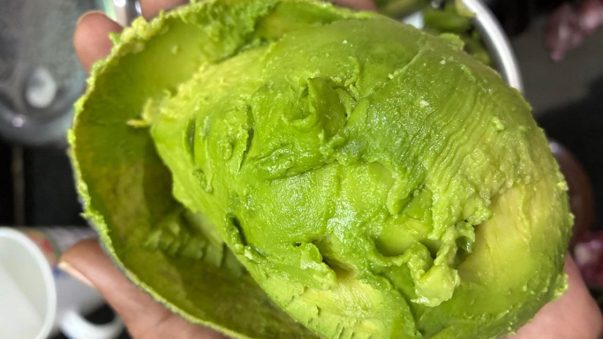 First few pieces of Hass avocados from Mahantesh B Patil’s farm. | Triya Gulati | ThePrint