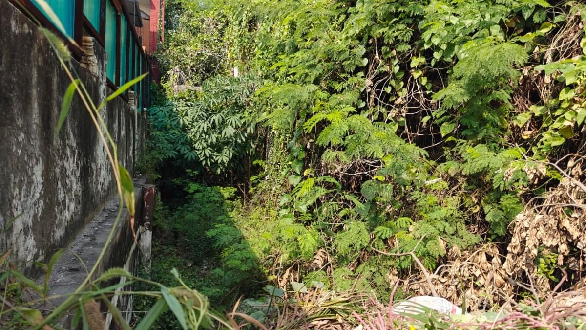 Drain outside D-5 in from where police recovered human remains | Mayank Kumar/ThePrint