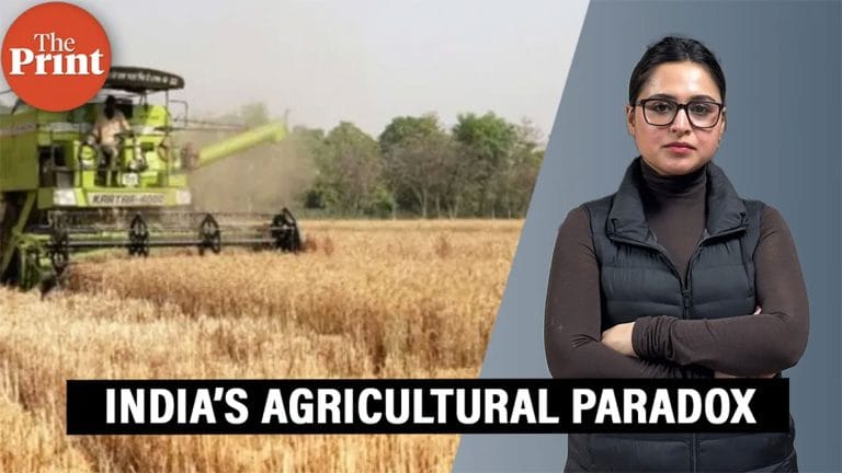 India’s agricultural paradox—rising output, rising imports, and a shrinking trade surplus