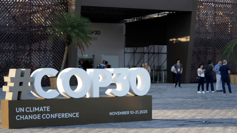 Brazil’s $125 bn forest fund takes root at COP30; promises incentives as money doesn’t grow on trees