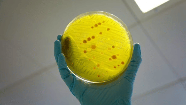 English researchers chance upon ‘highly potent’ antibiotic. It may help tackle antimicrobial resistance
