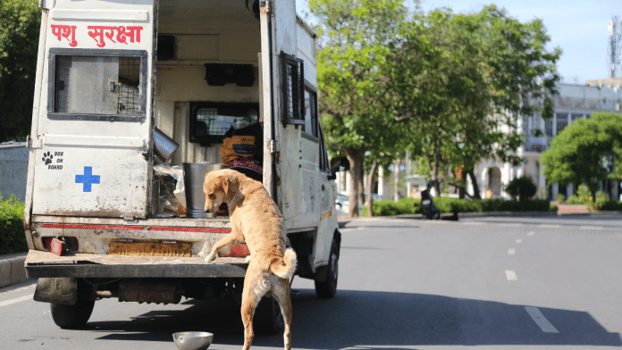 Removal and relocation of stray dogs must be carried out in accordance with the Animal Birth Control Rules, reiterates SC | Suraj Singh Bisht | ThePrint