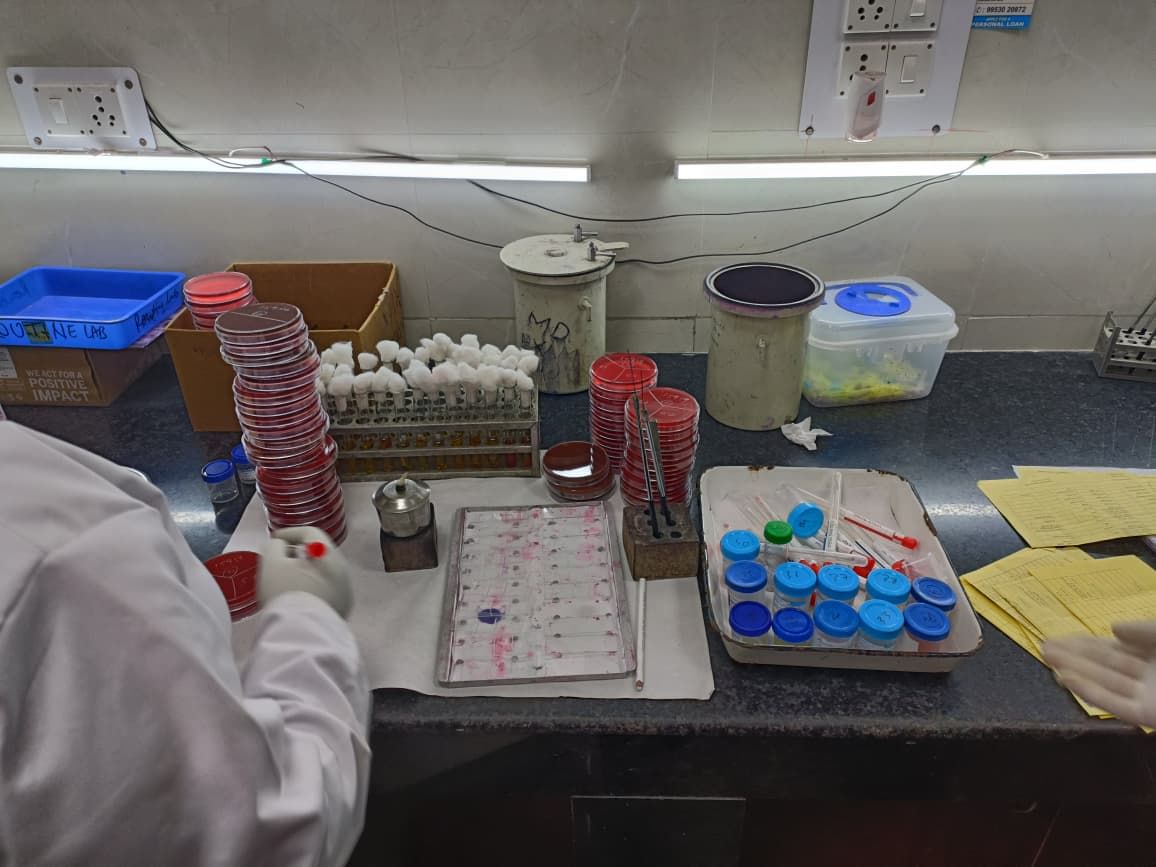 Stacks of agar plates with bacteria samples waiting to be studied and tested against antibiotics. | Akanksha Mishra | ThePrint