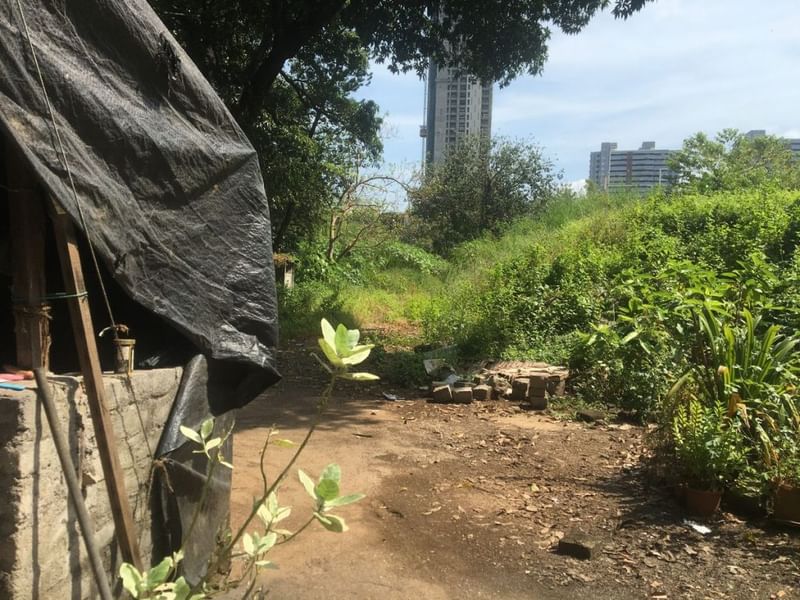 जहां कभी सहारा की ऑफिस बिल्डिंग थी, वहां अब बस झाड़ियां हैं | फोटो: अमृतांश अरोड़ा/दिप्रिंट