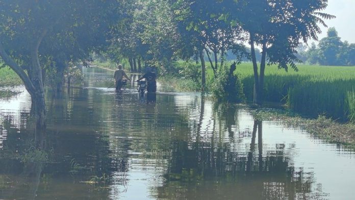 Roads leading to several villages were completed filled with water after the floods | Soumya Pillai, ThePrint