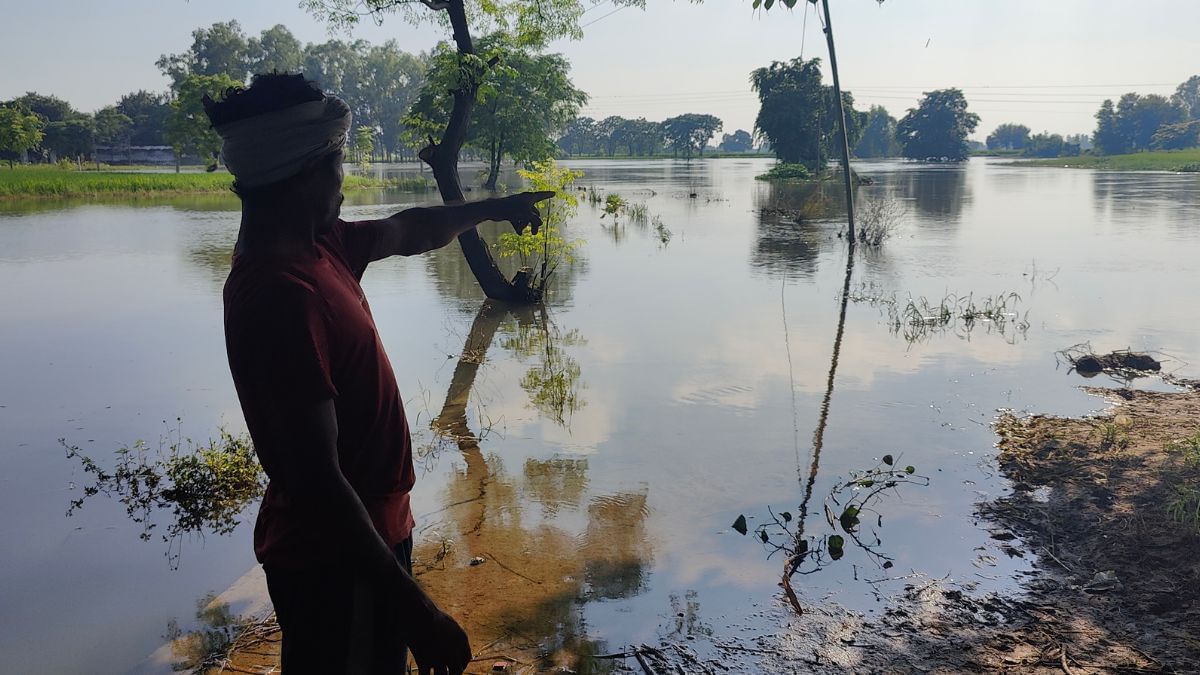 Inundated agricultural fields in Punjab after the Beas floods | Soumya Pillai, ThePrint